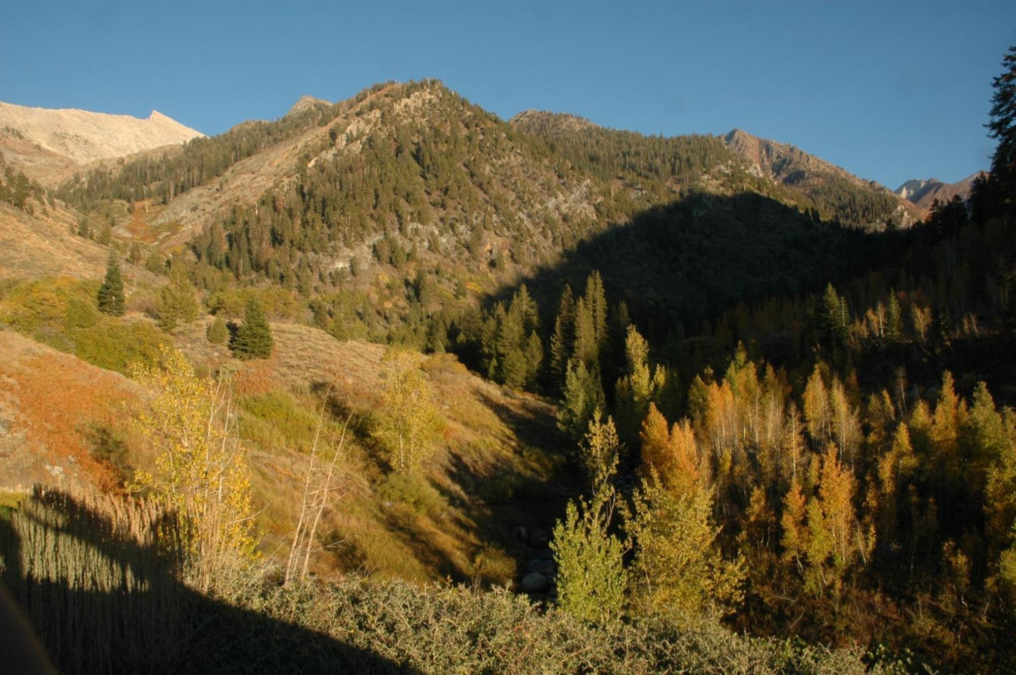 Silver City Mountain Resort Three Rivers Extérieur photo
