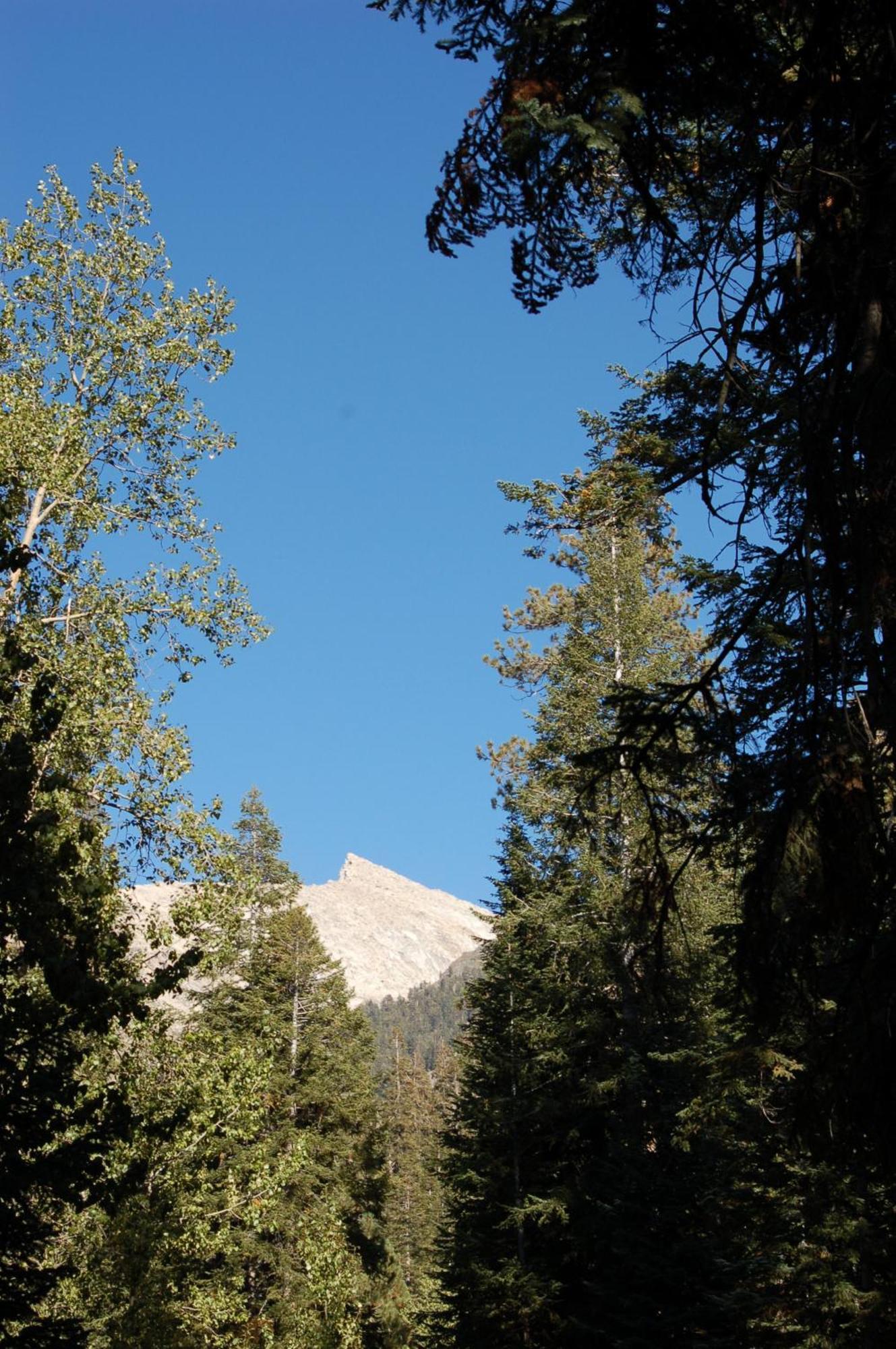 Silver City Mountain Resort Three Rivers Extérieur photo
